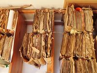 Quelques liasses du Fonds Mathieu