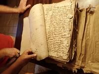 Exemple de documents attaqués par des nuisibles necessitant une restauration